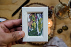 La Sirena del Nenúfar